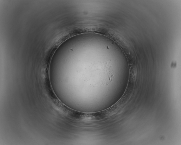 X0000094790746200711161433
