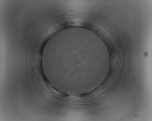 X0000094790747200711161433