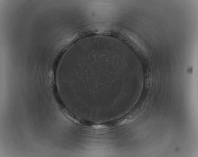 X0000094790748200711161433