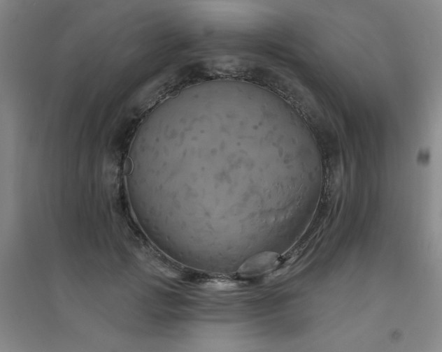 X0000094790749200711161433