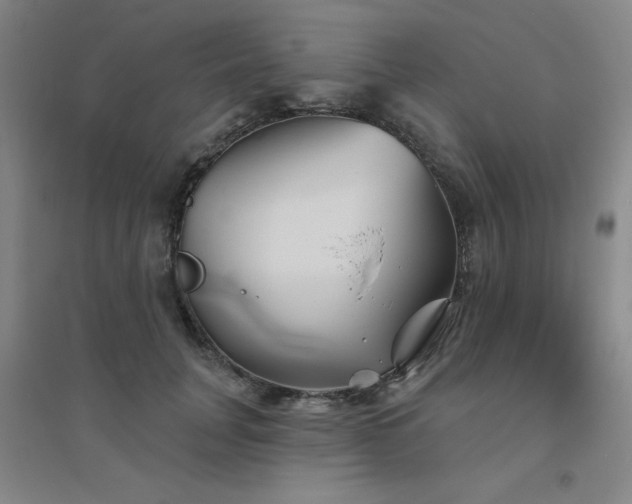 X0000094790751200711161433