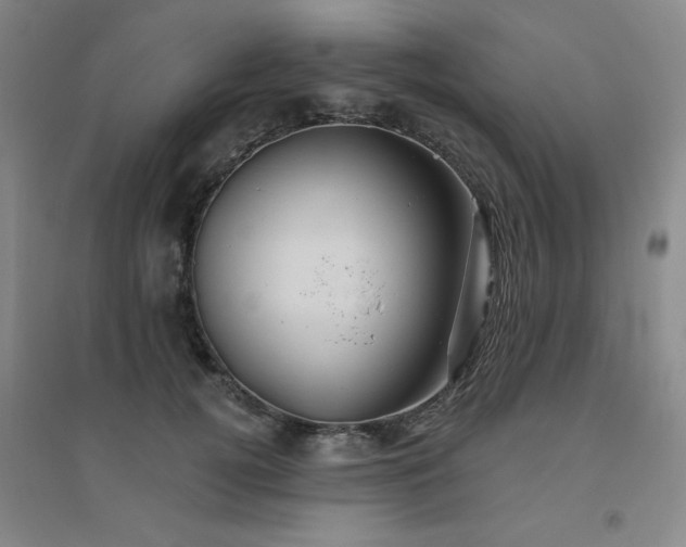 X0000094790752200711161433