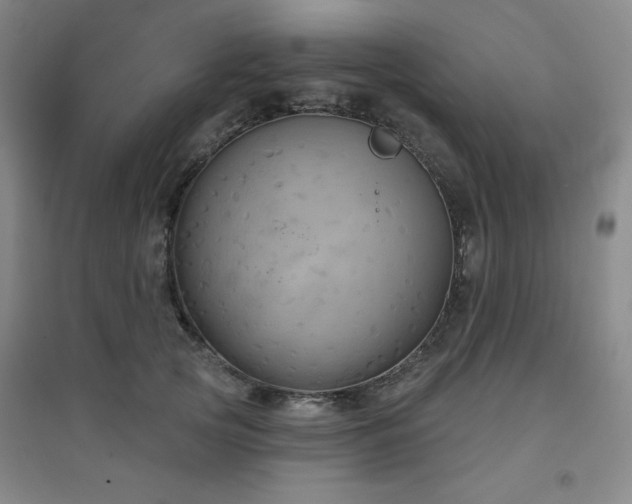 X0000094790753200711161433