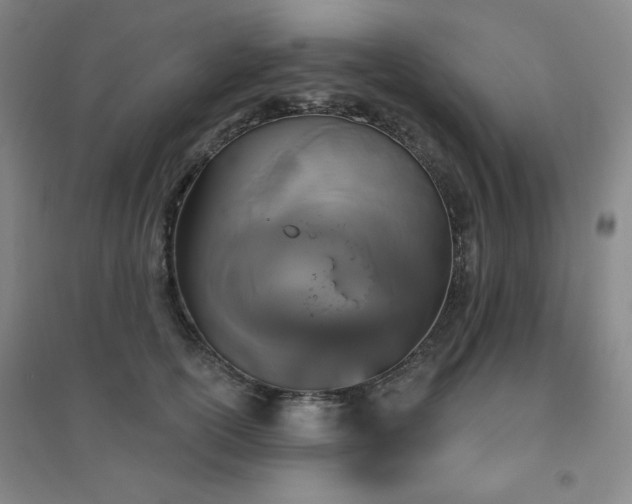 X0000094790754200711161433