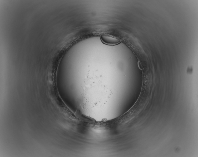 X0000094790755200711161433