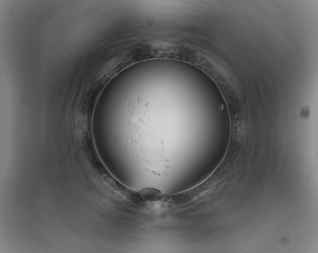 X0000094790756200711161433