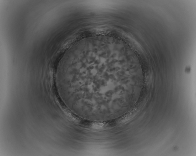 X0000094790757200711161433
