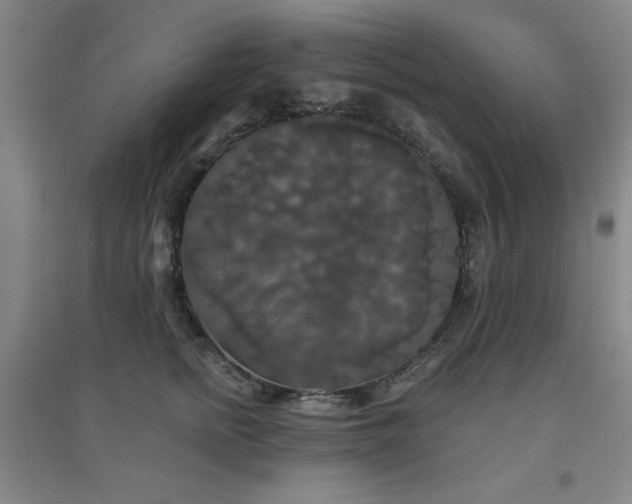 X0000094790758200711161433