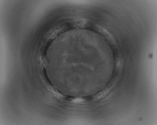 X0000094790759200711161433