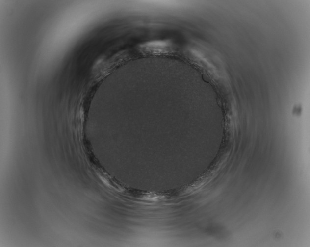 X0000094790760200711161433