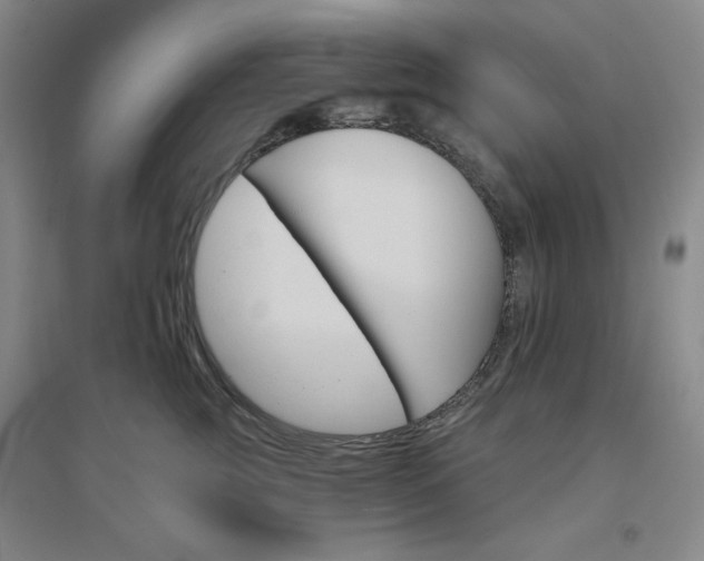 X0000094790761200711161433
