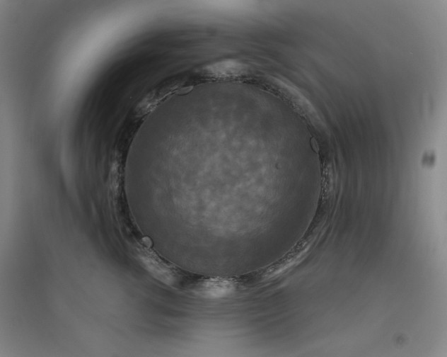 X0000094790762200711161433