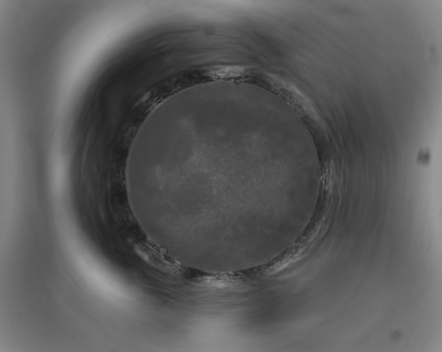 X0000094790763200711161433