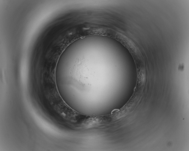 X0000094790764200711161433