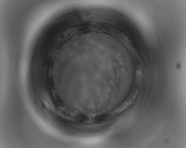 X0000094790765200711161433