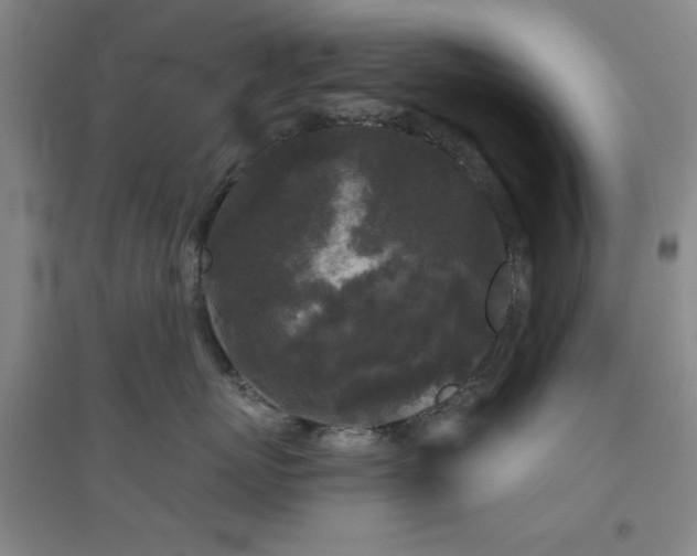 X0000094790767200711161433
