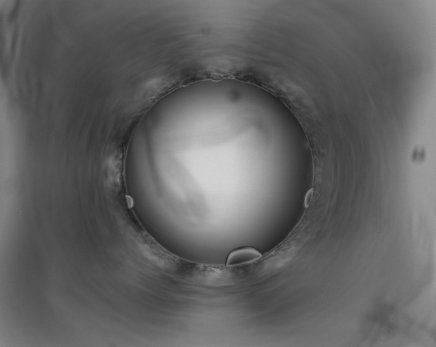 X0000094790768200711161433