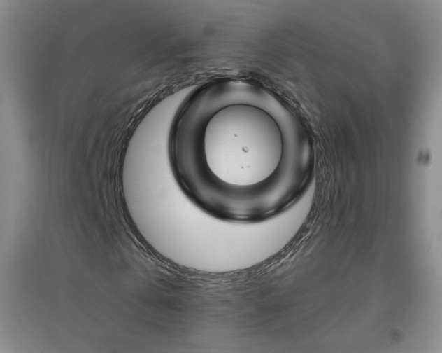 X0000094790769200711161432