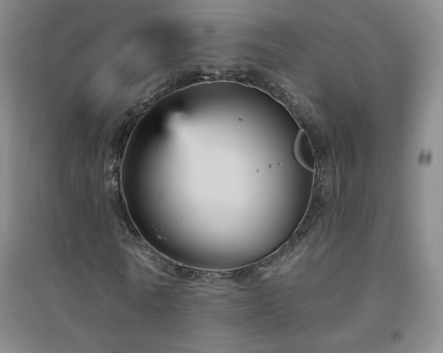 X0000094790770200711161432