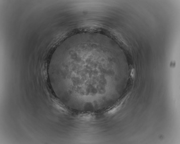 X0000094790771200711161432