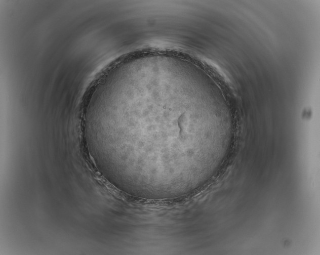 X0000094790776200711161432