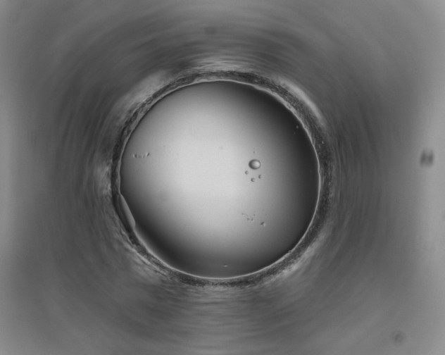 X0000094790777200711161432
