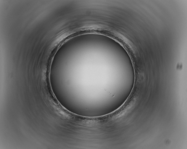 X0000094790778200711161432