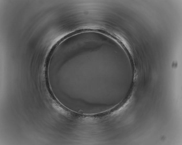X0000094790779200711161432
