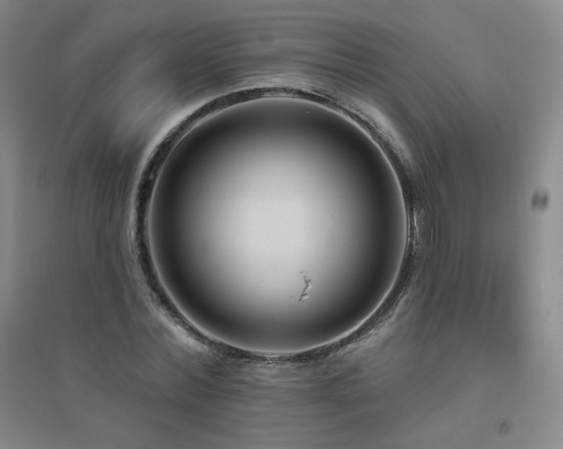 X0000094790780200711161432