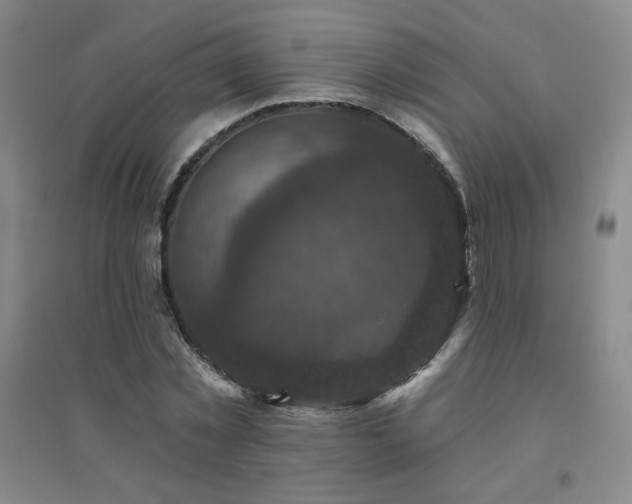 X0000094790781200711161432