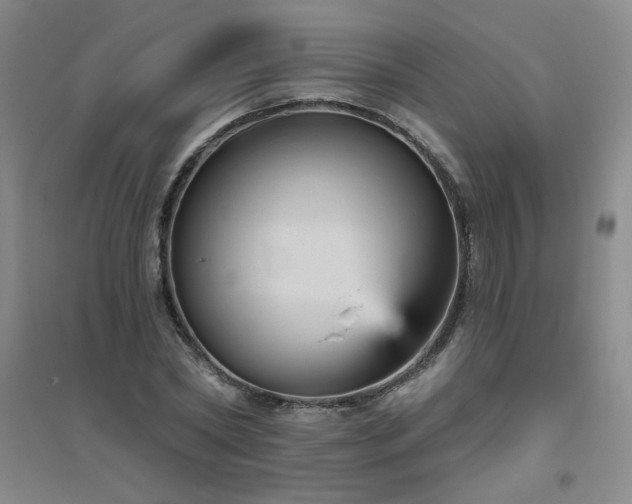 X0000094790782200711161432