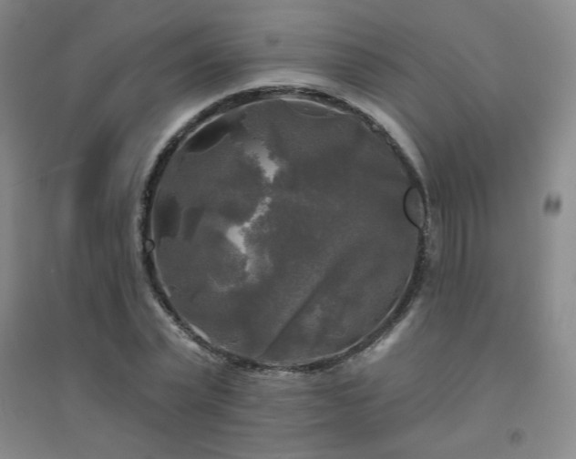 X0000094790783200711161432
