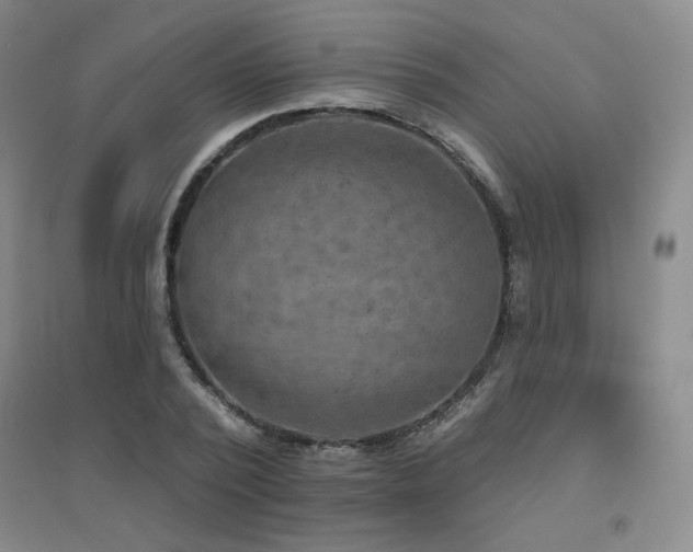 X0000094790784200711161432
