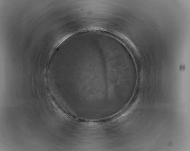 X0000094790785200711161432