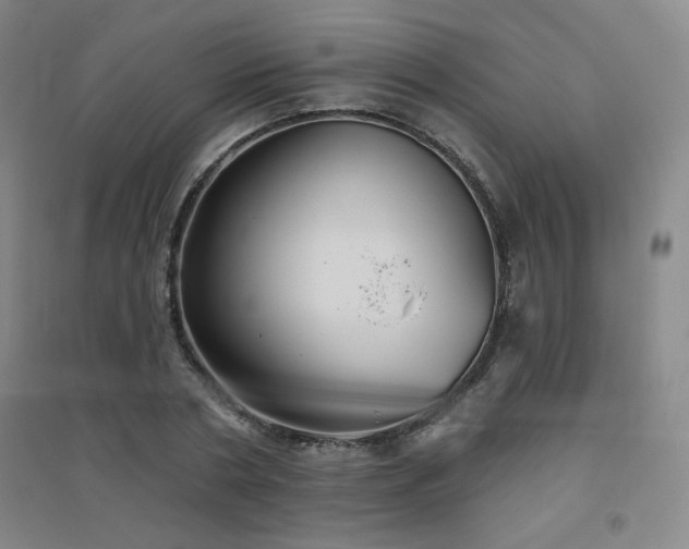 X0000094790786200711161432