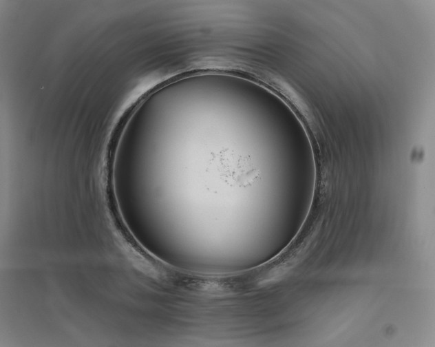 X0000094790787200711161432