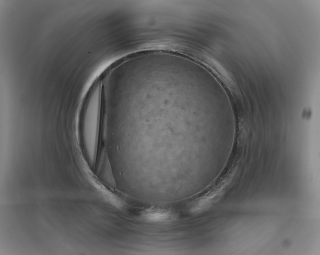 X0000094790788200711161432