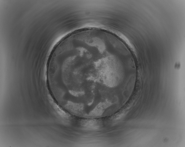 X0000094790791200711161432