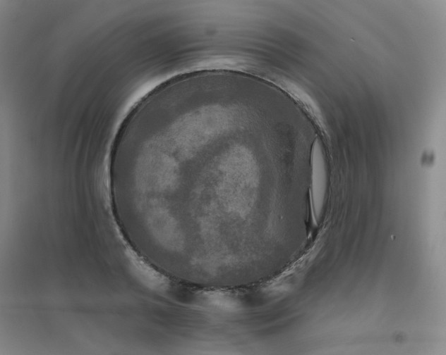 X0000094790792200711161432