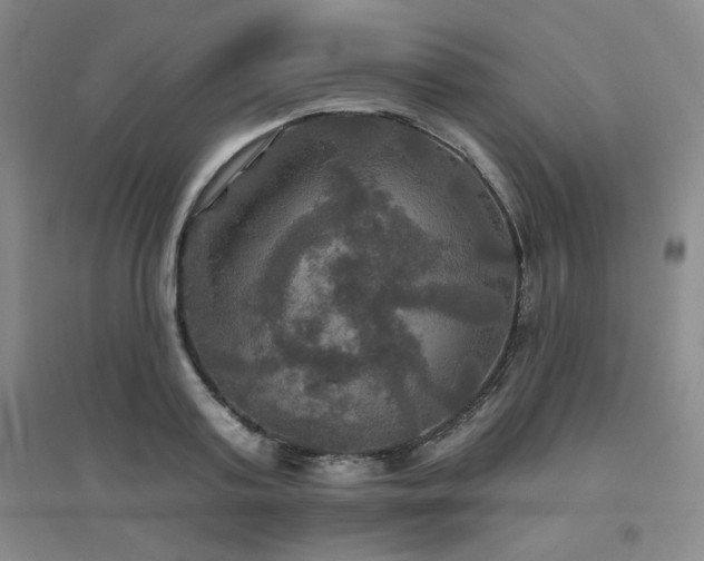 X0000094790795200711161432