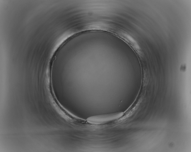 X0000094790796200711161432