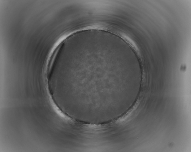 X0000094790800200711161432