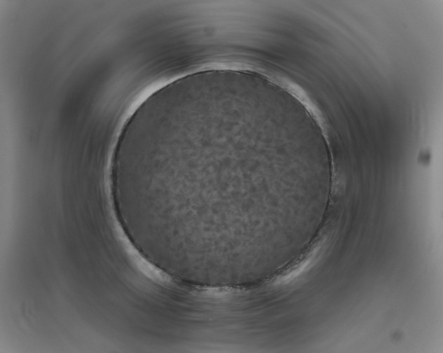 X0000094790803200711161432