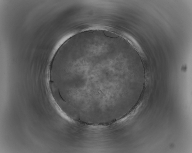 X0000094790804200711161432
