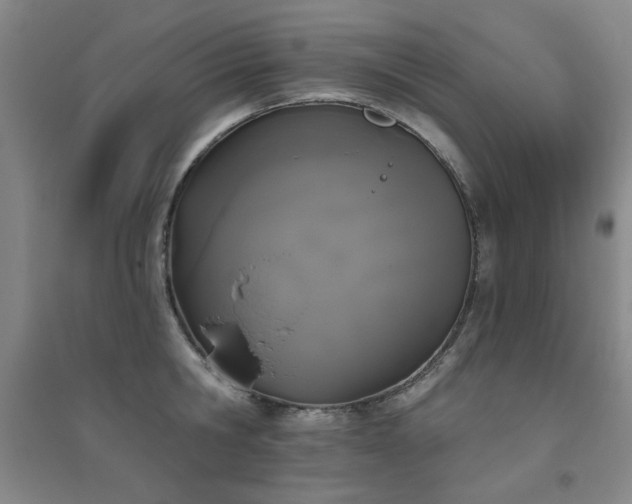 X0000094790806200711161432