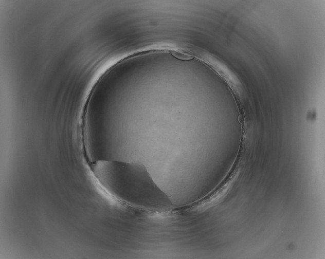 X0000094790808200711161432