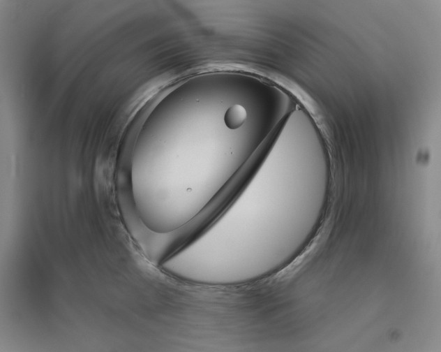 X0000094790809200711161432