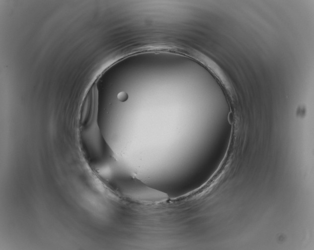 X0000094790810200711161432