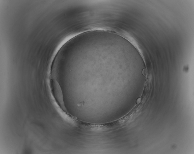 X0000094790811200711161432