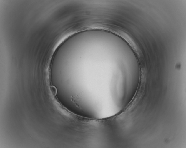 X0000094790814200711161432